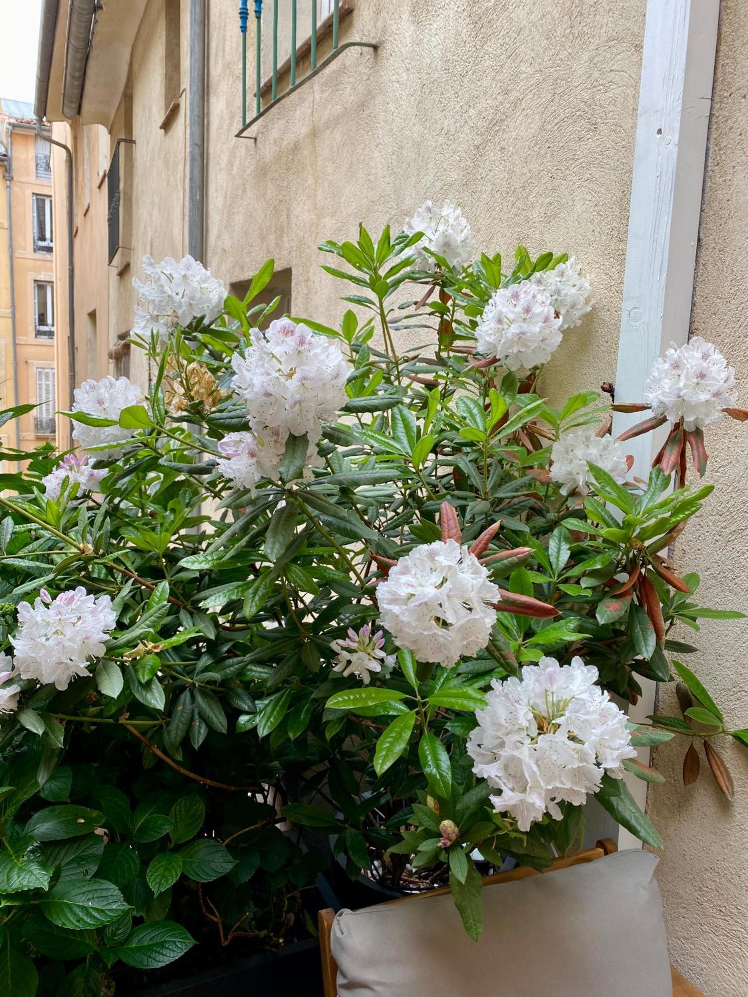 Appartement Luxe Terrasse Climatisation Centre D Aix Aix-en-Provence Eksteriør bilde